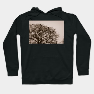 Home to roost Hoodie